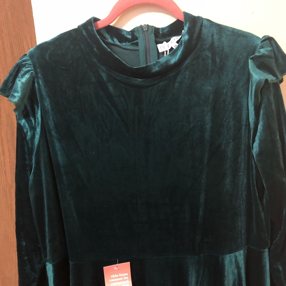 Ivy City Co emerald green velvet dress - Picture 4 of 7